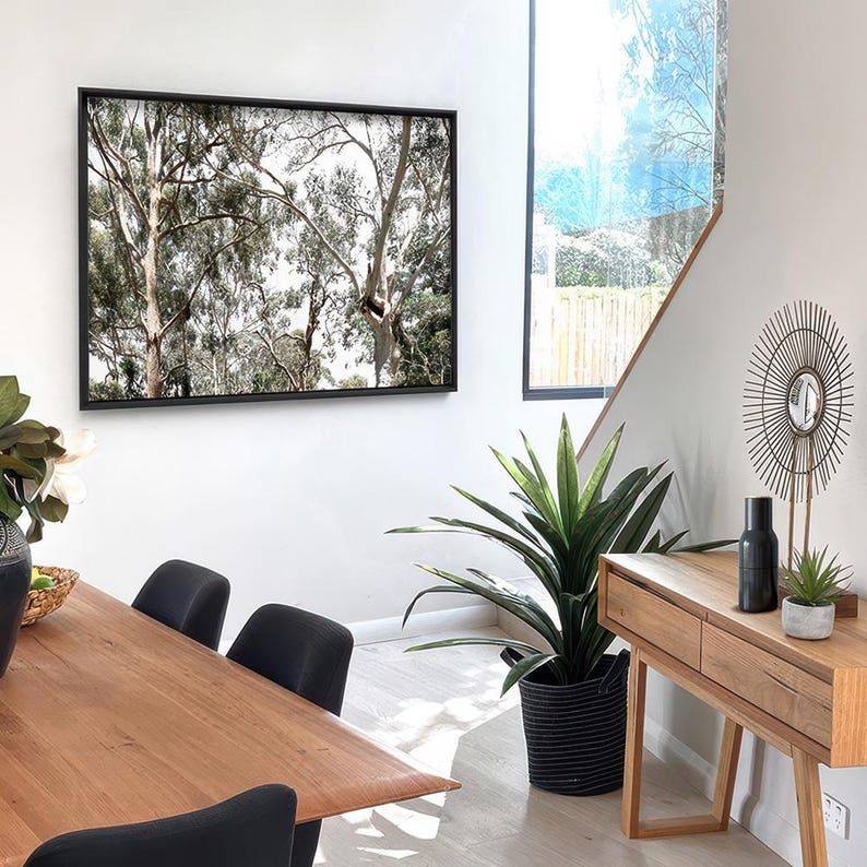 Gumtree Wall Art Print. Australian Gumtrees Landscape Photography. Original Photo. Poster or Canvas. Australian Wall Art Decor | BOC-31 image 3