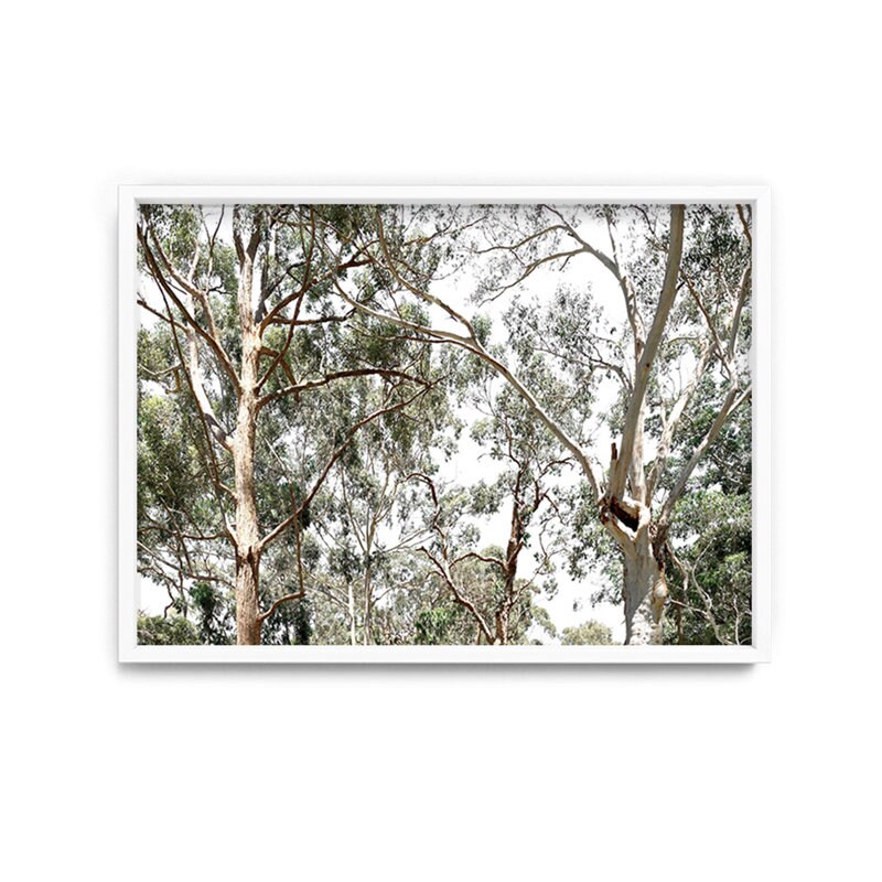 Gumtree Wall Art Print. Australian Gumtrees Landscape Etsy