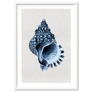 Hamptons Shell Print. Conch Sea Shell Vintage Illustration Poster. Navy on Printed Linen Texture. Coastal Nautical Wall Art Print | CSH-45