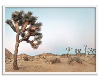 Desert Landscape Art Print. Joshua Trees Photography Scene. South Western Decor. Boho Modern Wall Art. Poster or Canvas options | LND-03