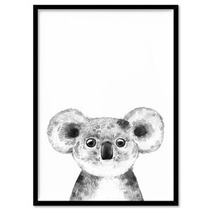 Koala Print Wall Art. Australian Native Animal. Sketch Style Nursery Prints. Nursery Wall Art or Kids Room Decor. Animal Prints | ANA-55 image 5