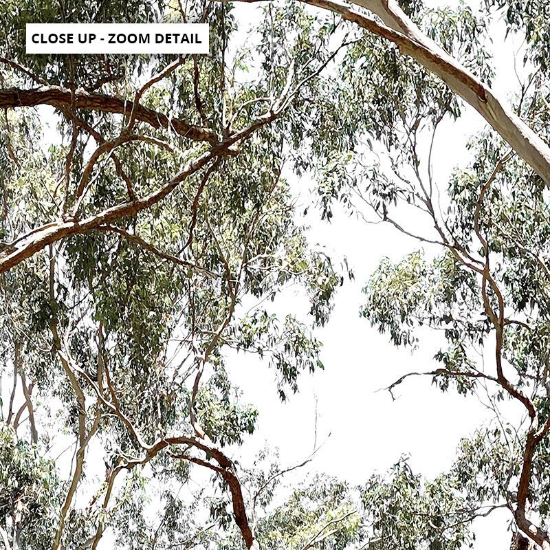 Gumtree Wall Art Print. Australian Gumtrees Landscape Etsy