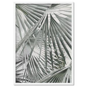 May include: Black and white photograph of palm tree leaves. The leaves are arranged in a radial pattern, creating a sense of depth and texture.