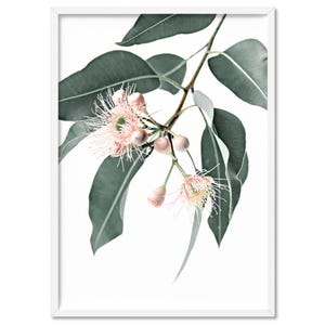 Flowering Eucalyptus Art Print. Gum Leaves Wall Art. Australian Native. Modern Australian Poster or Canvas. Pastel Blush Flowers | PLT-115