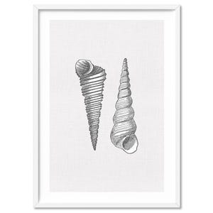 Sea Shell Print. Coastal Home Decor. Pair of Auger Shells. Hamptons Wall Art Nautical Poster. Printed Linen Texture. Grey & Neutrals |CSH-33