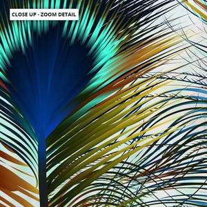 Peacock Print. Poster or Canvas. Modern look artwork. High resolution. Framed or Unframed options. Designed in Sydney | ANA-23 image 7
