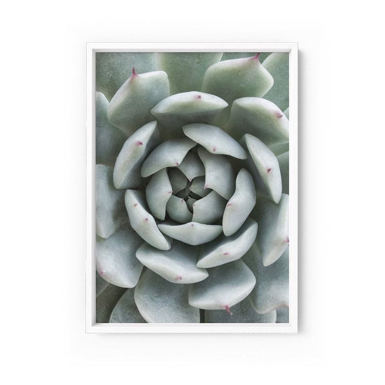 Succulent Wall Art Print. Cactus Wall Art. Pastel Green Wall Etsy
