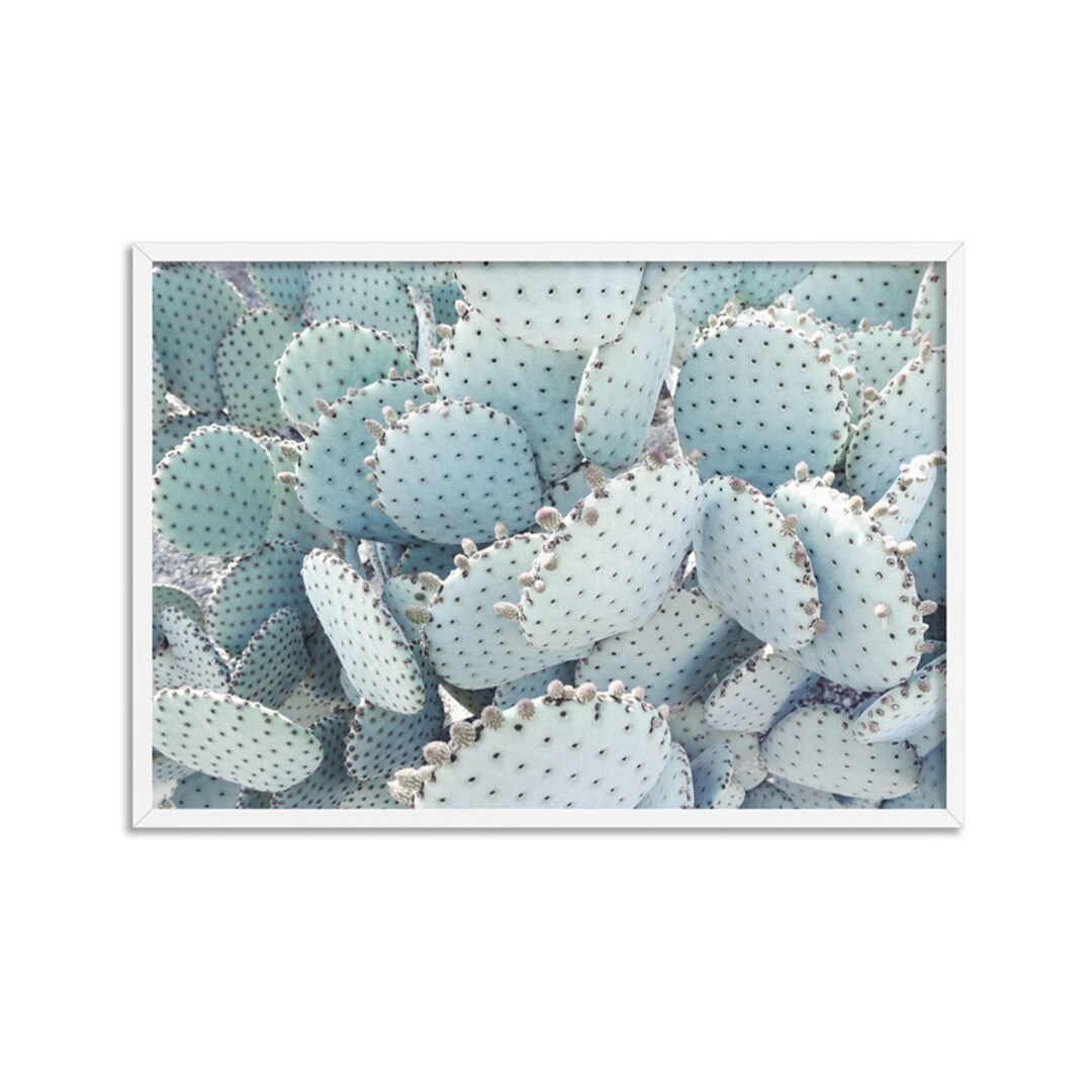 Prickly Pear Cactus Wall Art Print. Pastel Green Botanical Etsy