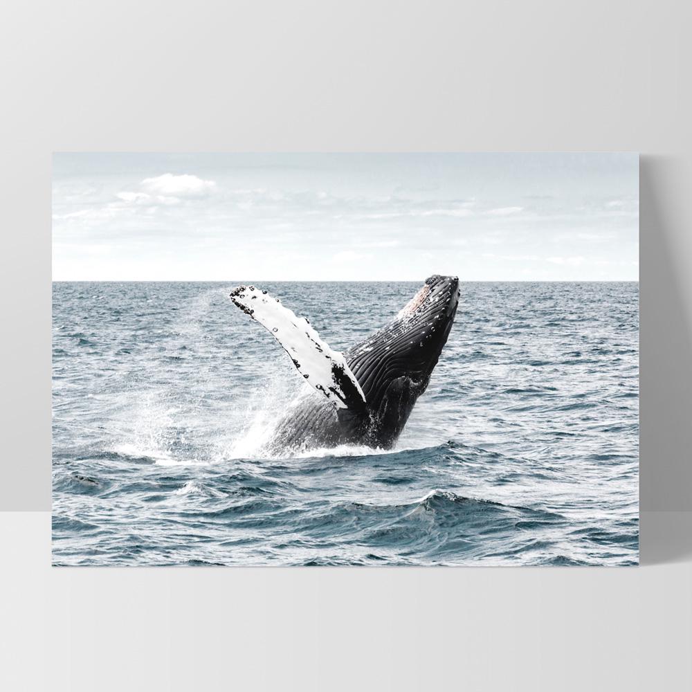 Humpback Whale Art Print. Whale Breaching in Ocean