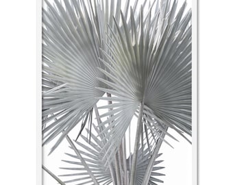 May include: A framed print showing a close-up of silver palm leaves against a white backdrop. The fan-shaped leaves have a textured appearance and are arranged in a natural, organic composition. The print is encased in a white frame.