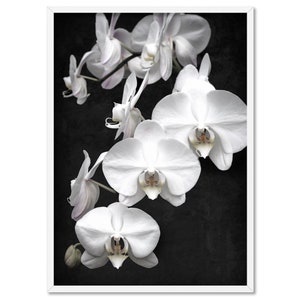 White Orchids on Black Art Print. Black Distressed Background. Botanical Floral Wall Poster. Black White Flower Photo Wall Art | PLT-159