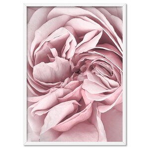 Pink Peony Flower Wall Poster. Romantic Poster for Bedroom, Blush Peony Wall Art Print, Elegant Floral Poster, Wall Art Print | PLT-168