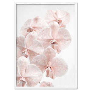 Blush Orchid Print, Flower Wall Art. Minimal Scandi Room Decor. Designer Pink Orchids. Botanical Floral Photo. Poster or Canvas | PLT-82