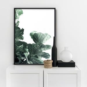 Fiddle Leaf Fig III Art Print. Fig Tree Watercolour Style. Botanical Poster Print. Designed from Original Photo. Great in the Set | PLT-134 画像 2