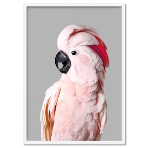 Pink Cockatoo Art Print. Moluccan Cockatoo Parrot Poster. Tropical Bird Wall Art. Pink Parrot Photography Print. Kids Room Art | ANA-90