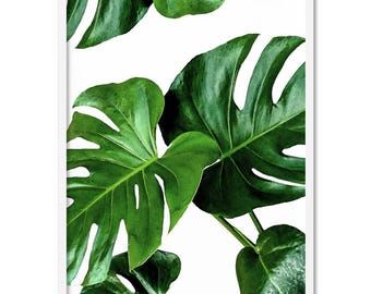 Monstera Leaf Print. Watercolour Style Green Leaves. Tropical Botanical Leaves. Home Decor Wall Art. Print and Proper | PLT-10