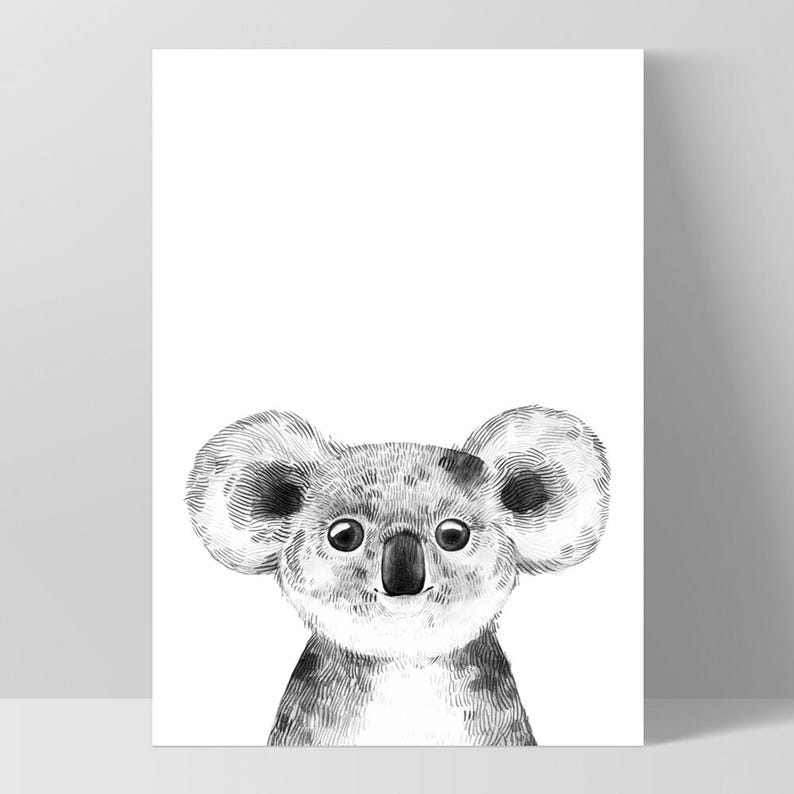 Koala Print Wall Art. Australian Native Animal. Sketch Style Nursery Prints. Nursery Wall Art or Kids Room Decor. Animal Prints | ANA-55 image 6