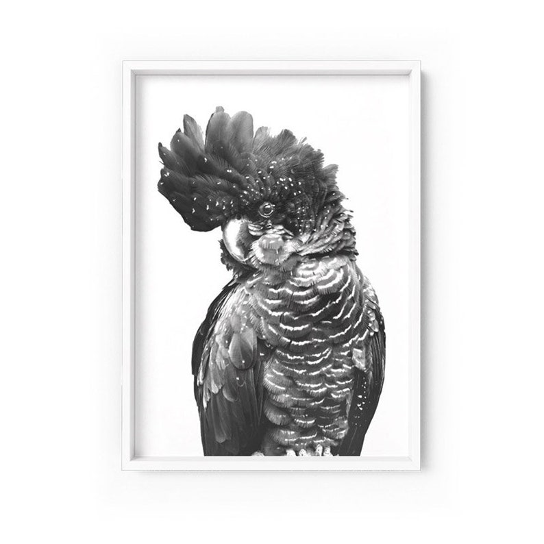 Black Cockatoo Wall Art Print. Black & White Scandi Parrot. Etsy