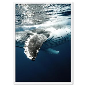 Humpback Whale Art Print, Underwater View. Whale Swimming in Ocean Poster. Underwater Whale Wall Art Print. Whale Fins Poster | ANA-79