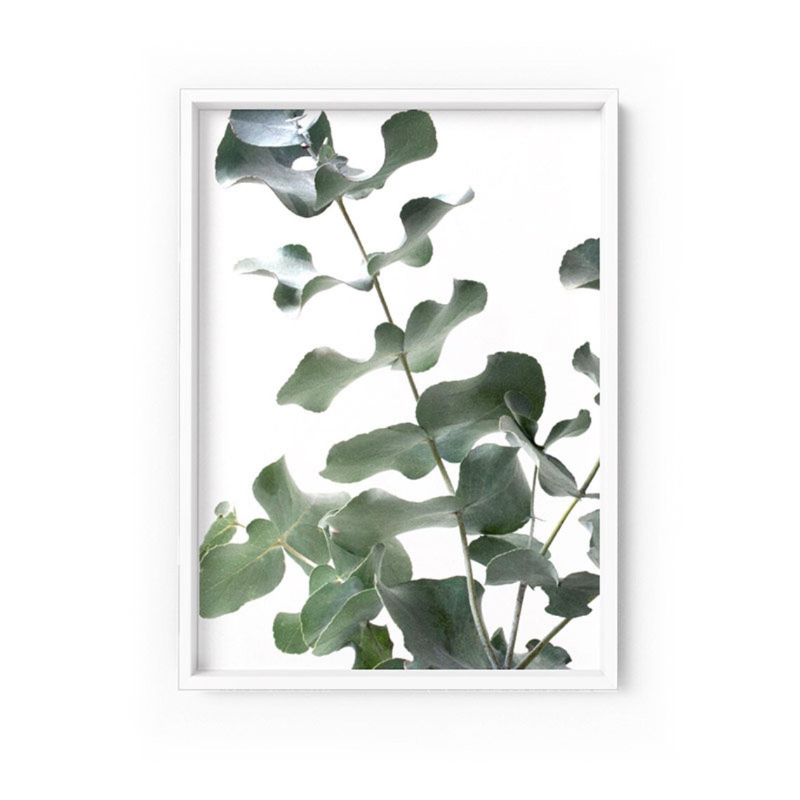 Eucalyptus Leaves Wall Art. Native Modern Australian Art Etsy