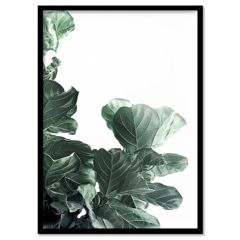Fiddle Leaf Fig III Art Print. Fig Tree Watercolour Style. Botanical Poster Print. Designed from Original Photo. Great in the Set | PLT-134 画像 5