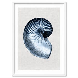 Hamptons Nautilus Shell Wall Art Print. Navy Vintage Illustration on Linen Texture Print. Sea Shell Hamptons Coastal Wall Art Print | CSH-50