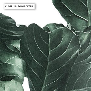 Fiddle Leaf Fig III Art Print. Fig Tree Watercolour Style. Botanical Poster Print. Designed from Original Photo. Great in the Set | PLT-134 画像 7