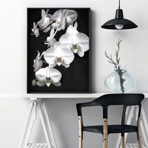 White Orchids on Black Art Print. Black Distressed Background. Botanical Floral Wall Poster. Black White Flower Photo Wall Art | PLT-159 image 2