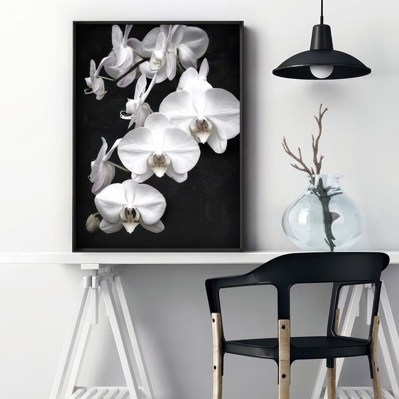White Orchids on Black Art Print. Black Distressed Background. Botanical Floral Wall Poster. Black White Flower Photo Wall Art | PLT-159 image 2