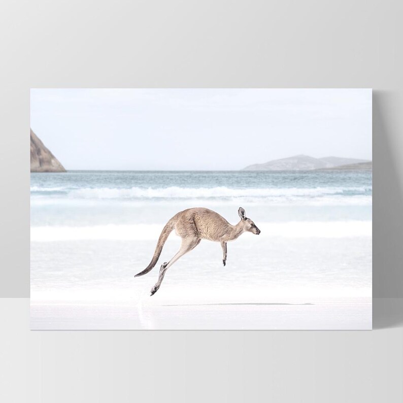 Kangaroo Art Print. Kangaroo Hopping on Beach Poster. Australian Animal Wall Decor. Soft Tone Seascape Photography Coastal Print| ANA-96 zdjęcie 6