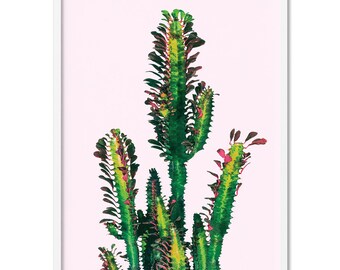Succulent Cactus Art Print. Watercolour Style Pastel & Green Wall Art. Poster or Canvas. Original Artwork. Print and Proper | PLT-17