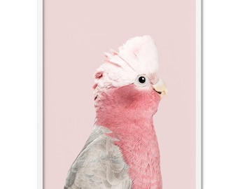 Pink Galah Cockatoo Art Print. Pink & Grey Parrot Poster. Kids Wall Decor. Tropical Bird. Native Australian Animal Print | ANA-89