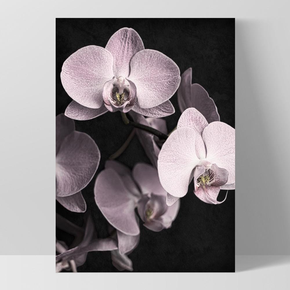 WALL OF ORCHIDS / LIFE MUST GO ON オリジナル版 Pink Orchids on Black Art Print. Dark Orchid Floral Wall Art