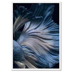 Fighting Fish Art Print. Japanese Betta Fish. Abstract Draped Look in Blue Tones. Ready to Hang or Unframed. Print and Proper | ANA-16