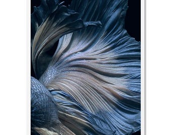 Fighting Fish Art Print. Japanese Betta Fish. Abstract Draped Look in Blue Tones. Ready to Hang or Unframed. Print and Proper | ANA-16