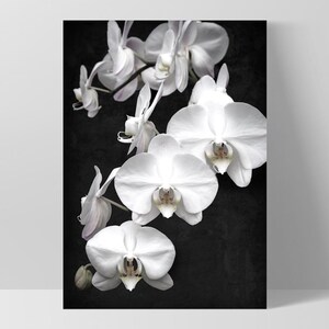 White Orchids on Black Art Print. Black Distressed Background. Botanical Floral Wall Poster. Black White Flower Photo Wall Art | PLT-159 image 6