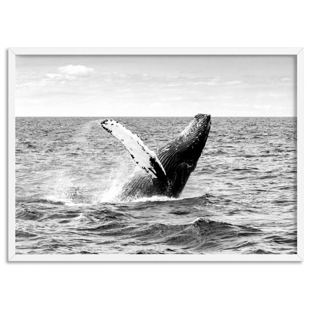 Humpback Whale Art Print. Whale Breaching Print in Black & White ...