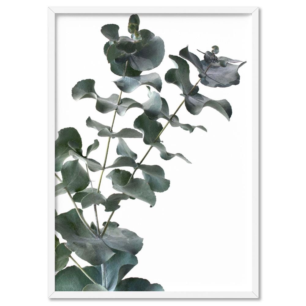 Eucalyptus Art Print. Poster or Canvas. Native Modern Australian Art Prints. Simple Green Leaves Photography. Original Art | PLT-49