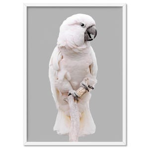 Salmon Crested Cockatoo Wall Art Print. Cheeky Bird in Pastels. Great for Living room, Kids or Nursery. Poster or Canvas options | ANA-32