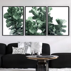 Fiddle Leaf Fig III Art Print. Fig Tree Watercolour Style. Botanical Poster Print. Designed from Original Photo. Great in the Set | PLT-134 画像 3