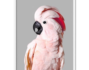 Pink Cockatoo Art Print. Moluccan Cockatoo Parrot Poster. Tropical Bird Wall Art. Pink Parrot Photography Print. Kids Room Art | ANA-90