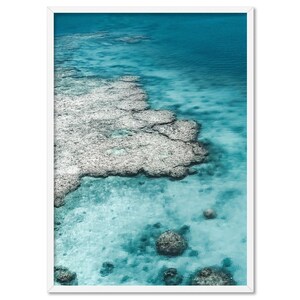 Tropical Reef from above Art Print. Reef Aerial Poster. Turquoise Clear Water. Calming Wall Art. Aerial Photography. From Above | BOC-52