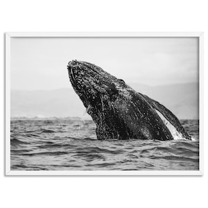 Black & White Whale Breaching Art Print. Humpback Whale in Ocean. Monochrome Landscape Poster of Whale. Minimal Modern Art | ANA-84