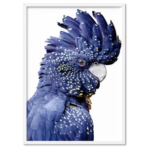 Black Cockatoo Print. Native Australian Bird Poster. Blue Tones. Tropical Parrot Photography Print. The Block Living Room Wall Art | ANA-95