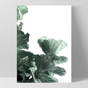 Fiddle Leaf Fig III Art Print. Fig Tree Watercolour Style. Botanical Poster Print. Designed from Original Photo. Great in the Set | PLT-134 画像 6