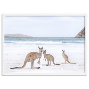 Kangaroo Poster Print. Native Australian Animal Wall Decor. Coastal Beach Print. Three Kangaroos on Beach. Aussie Home Decor | ANA-97