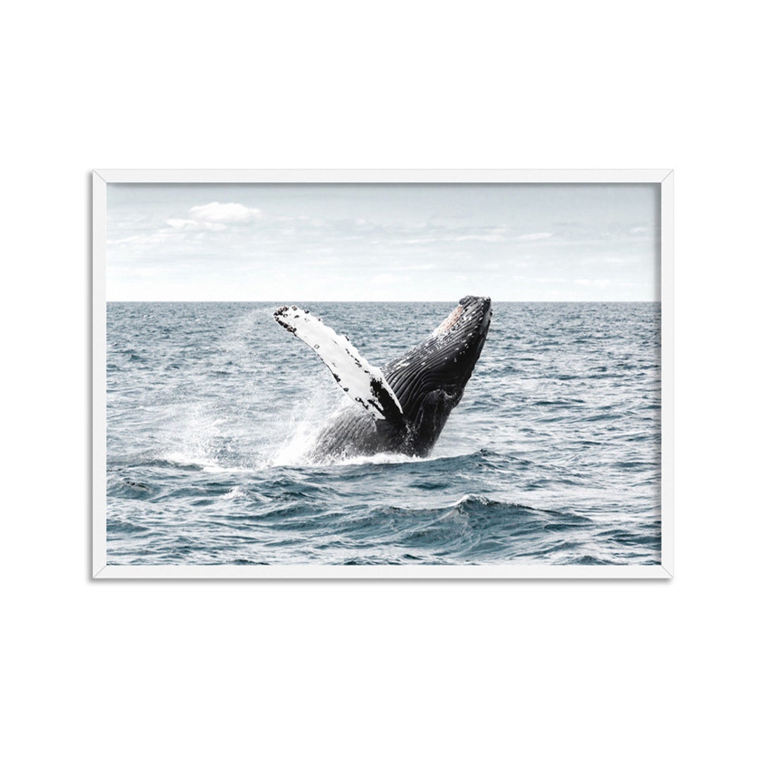 Impresión de arte de ballena jorobada. Violación de ballenas - Etsy España Impresión de arte de ballena jorobada. Violación de ballenas - Etsy España