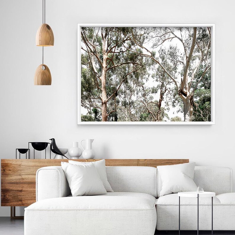 Gumtree Wall Art Print. Australian Gumtrees Landscape Photography. Original Photo. Poster or Canvas. Australian Wall Art Decor | BOC-31 image 2