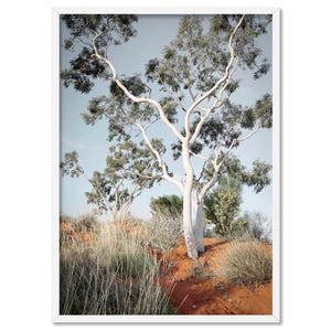 Australian Gumtree Wall Art Print or Canvas. White Ghost Gum Eucalyptus Poster. Australia Outback Photo. Native Australian Print | LND-08
