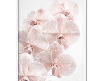 Blush Orchid Print, Flower Wall Art. Minimal Scandi Room Decor. Designer Pink Orchids. Botanical Floral Photo. Poster or Canvas | PLT-82